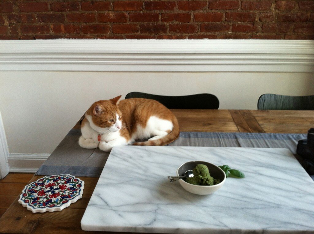 Mr. Whiskers, the M&M mascot