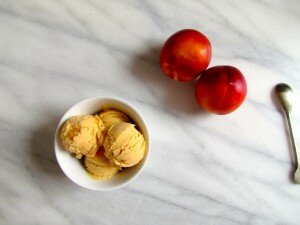 Nectarine Frozen Yogurt - Meatballs & Milkshakes